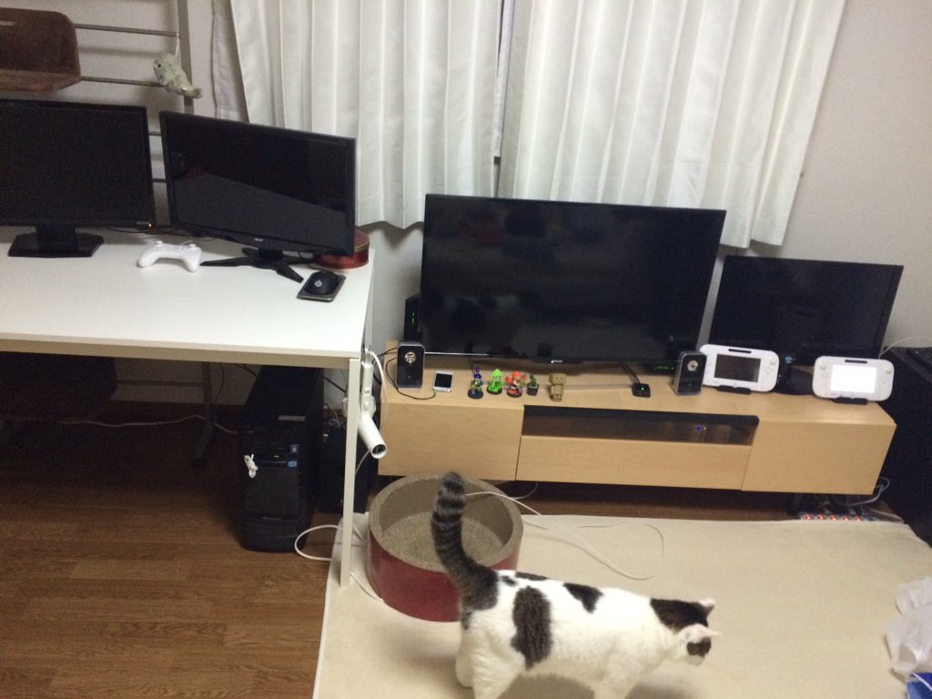 さくぅ tweet media