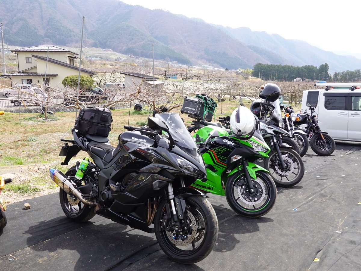 なっしー tweet media