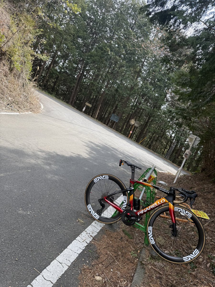 タピオカひろし tweet media