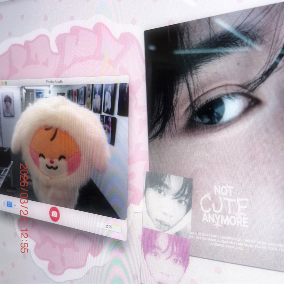 랑이♡ tweet media