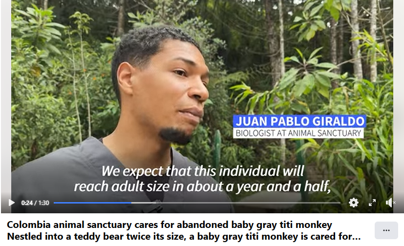 CBrash (21 arc) tweet media