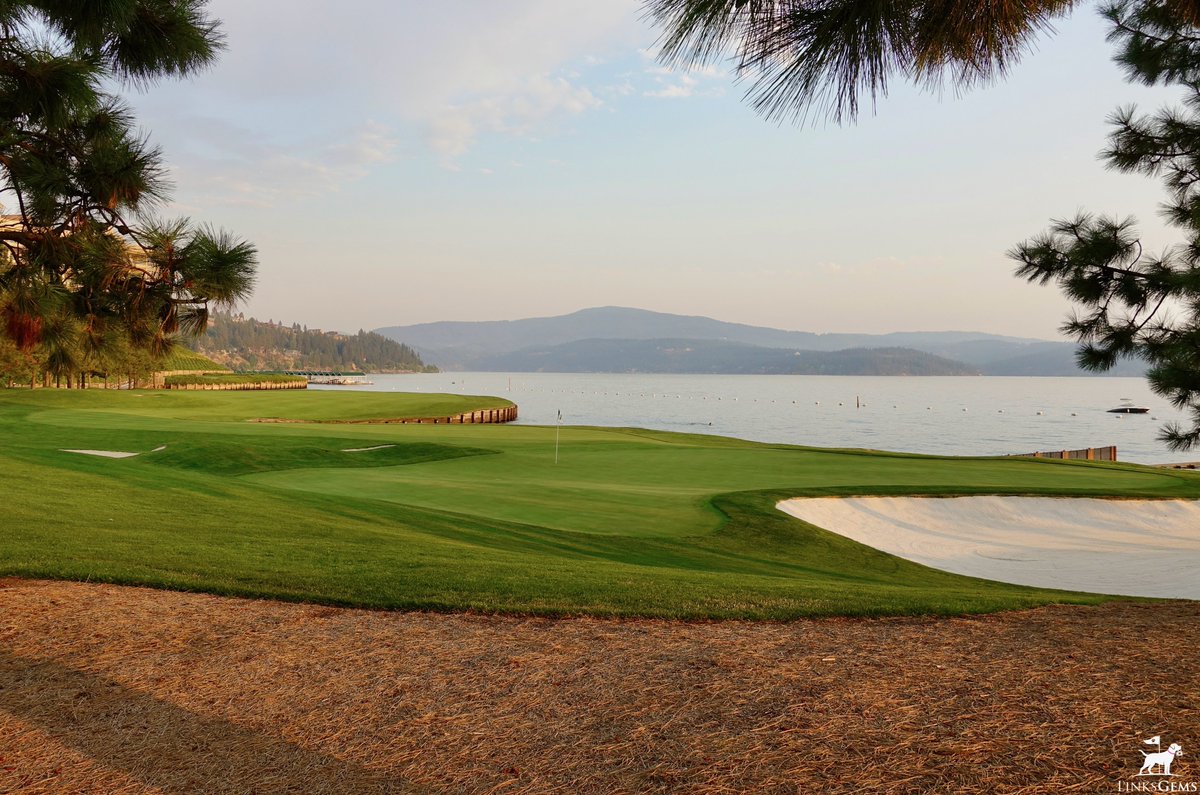 LinksGems tweet media