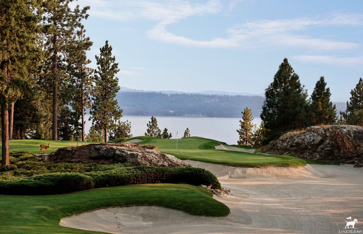 LinksGems tweet media