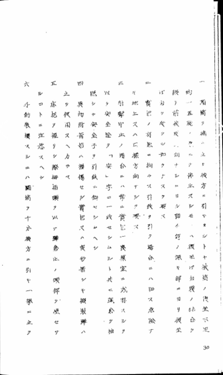 フランチェスカ・ゴッテンベルク tweet media