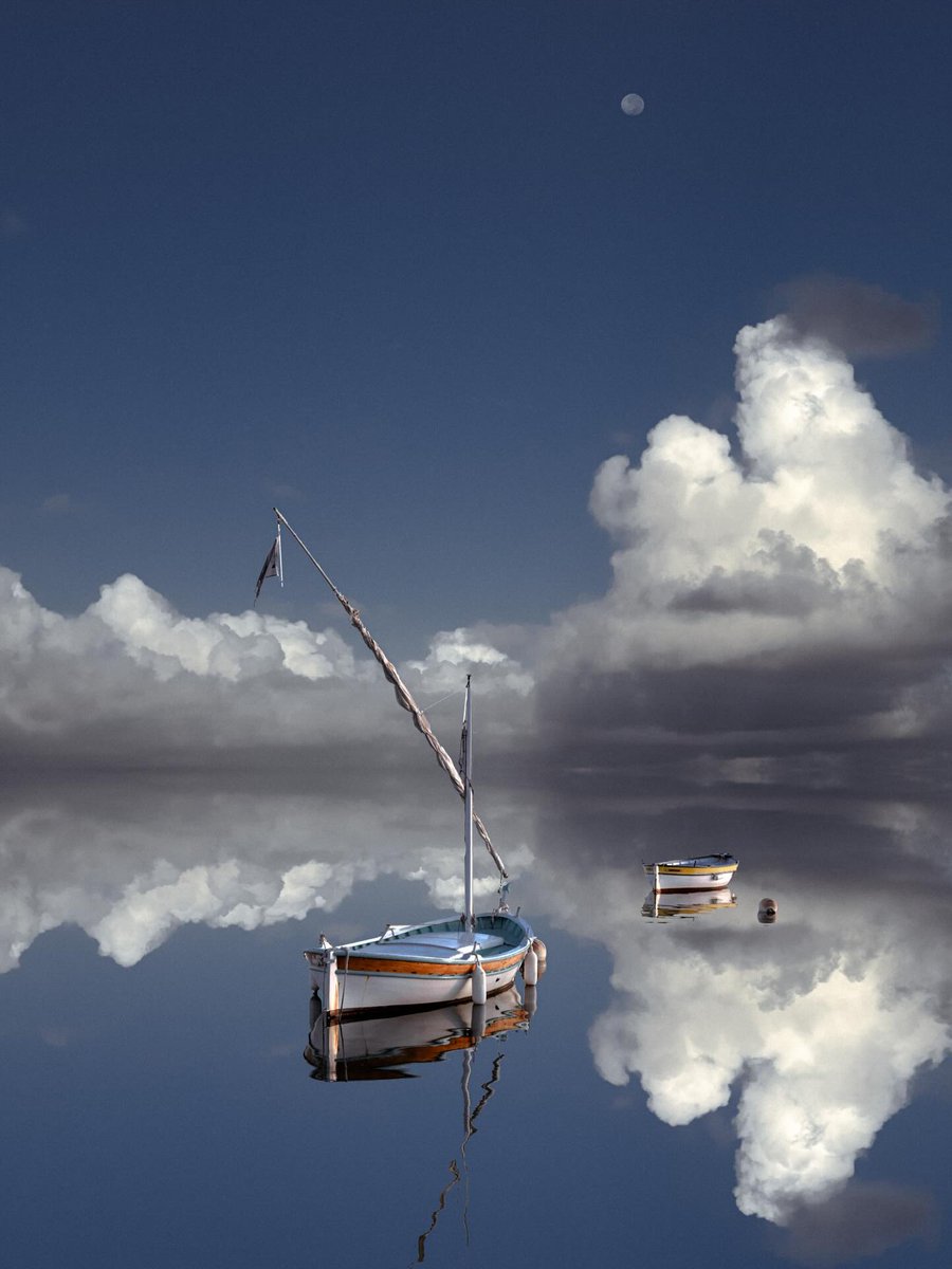 Delight Moments tweet media