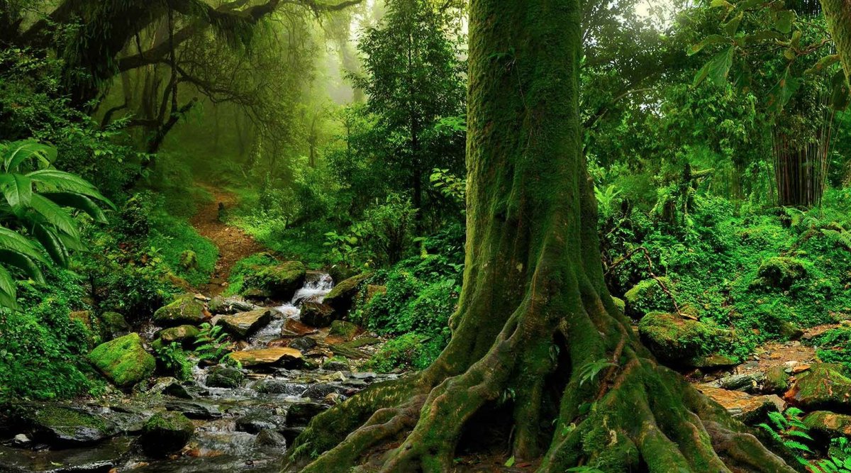 MarthaLuz tweet media