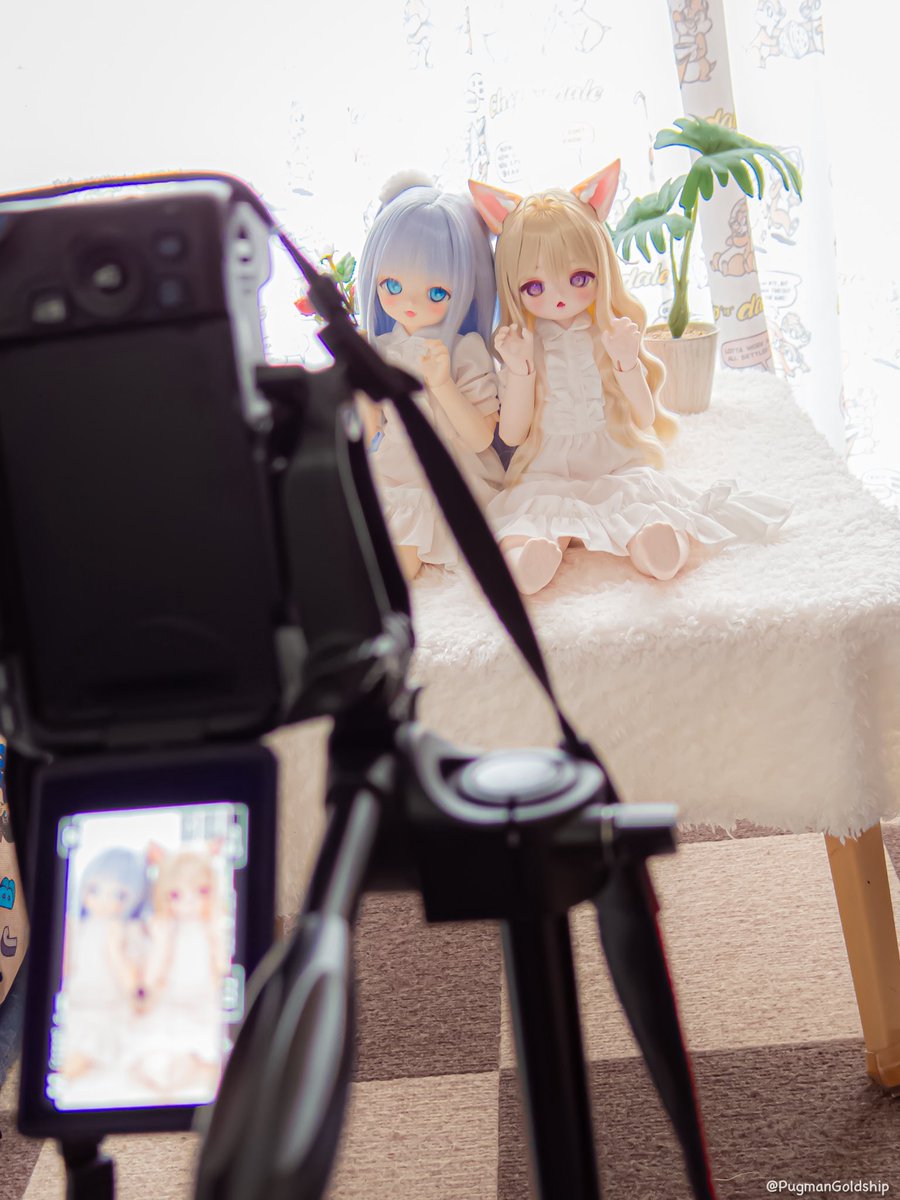 ぱぐまん tweet media