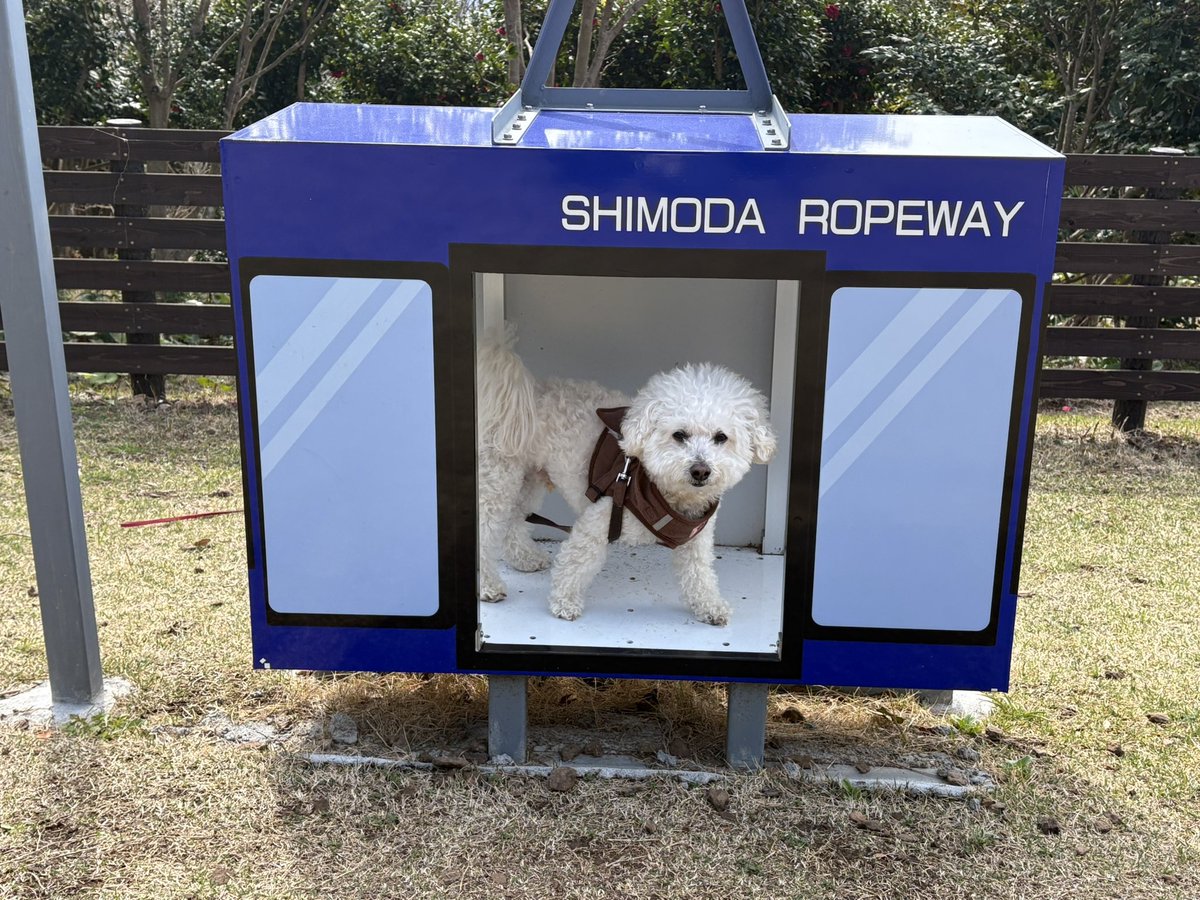 こばママ tweet media