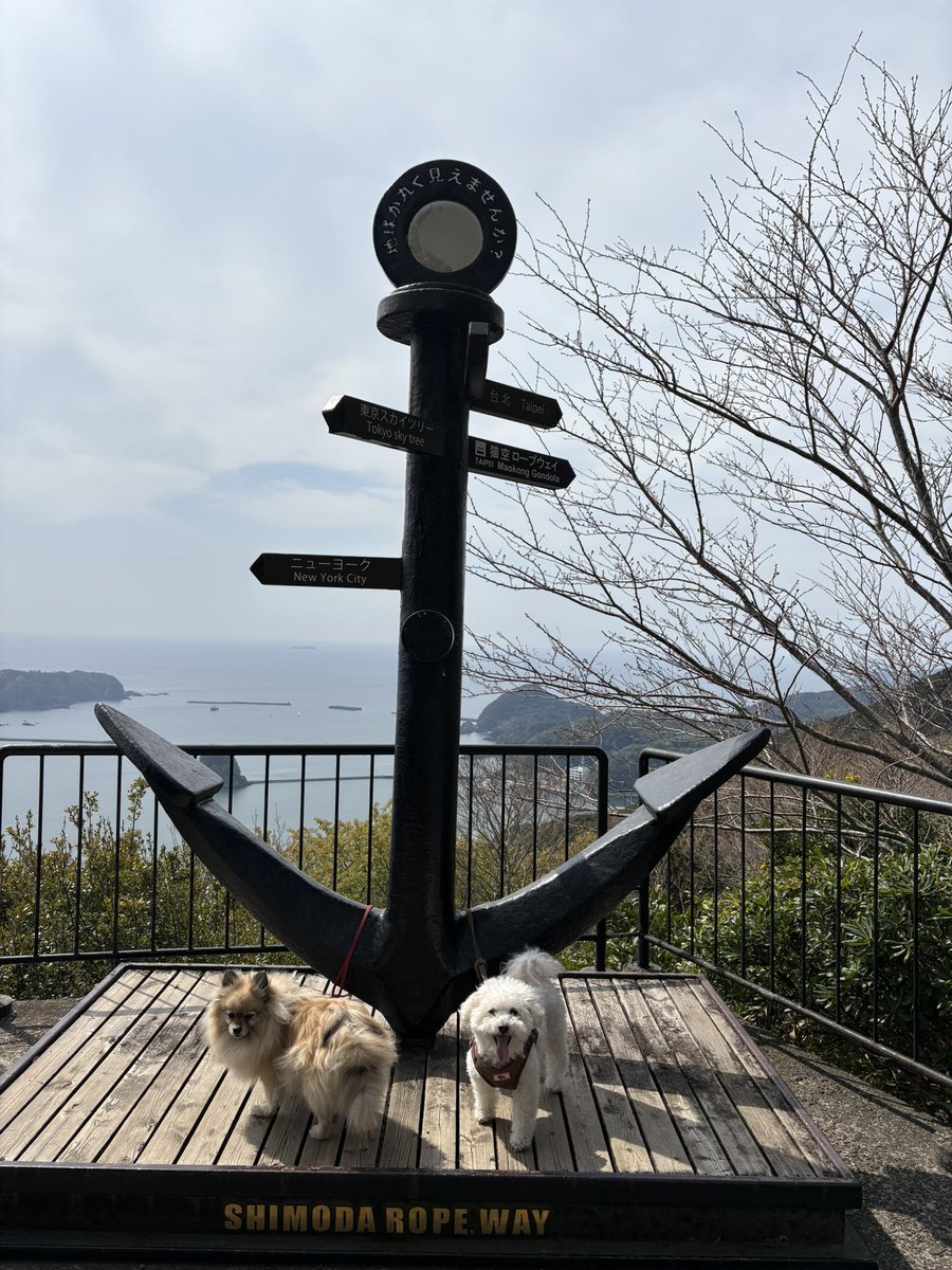 こばママ tweet media