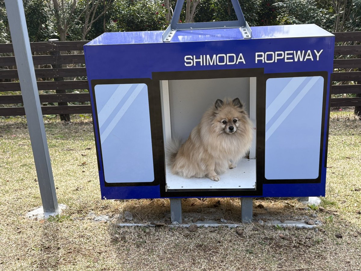 こばママ tweet media