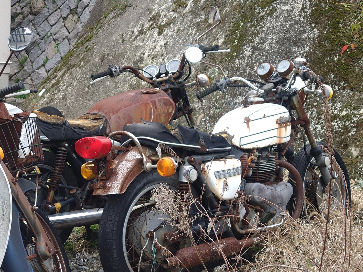 あおかぶおぢさん tweet media