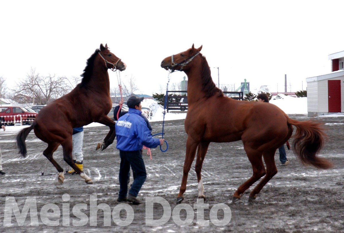 サンスポZBAT!競馬 tweet media