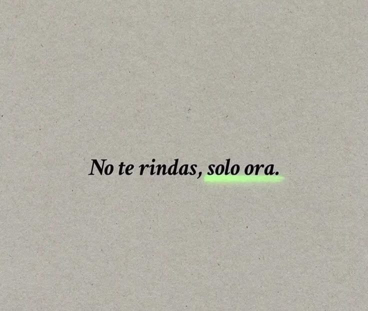 Águilas de Dios tweet media