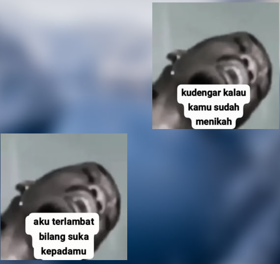 kuzanagie tweet media
