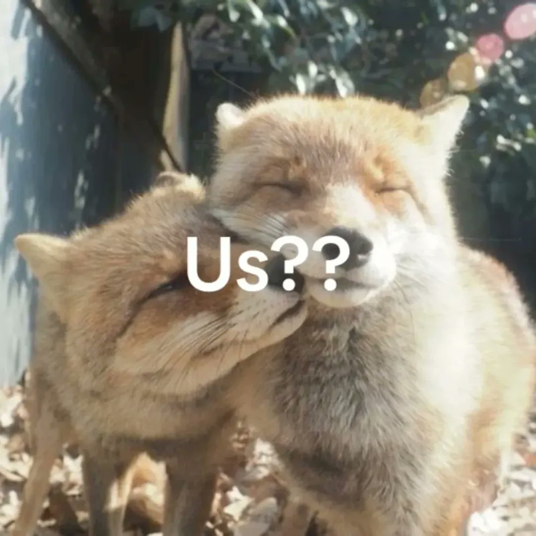 🍁 𝓣𝓱𝓮 𝓕𝓸𝔁 𝓛𝓲𝓯𝓮 🌾🦊 tweet media