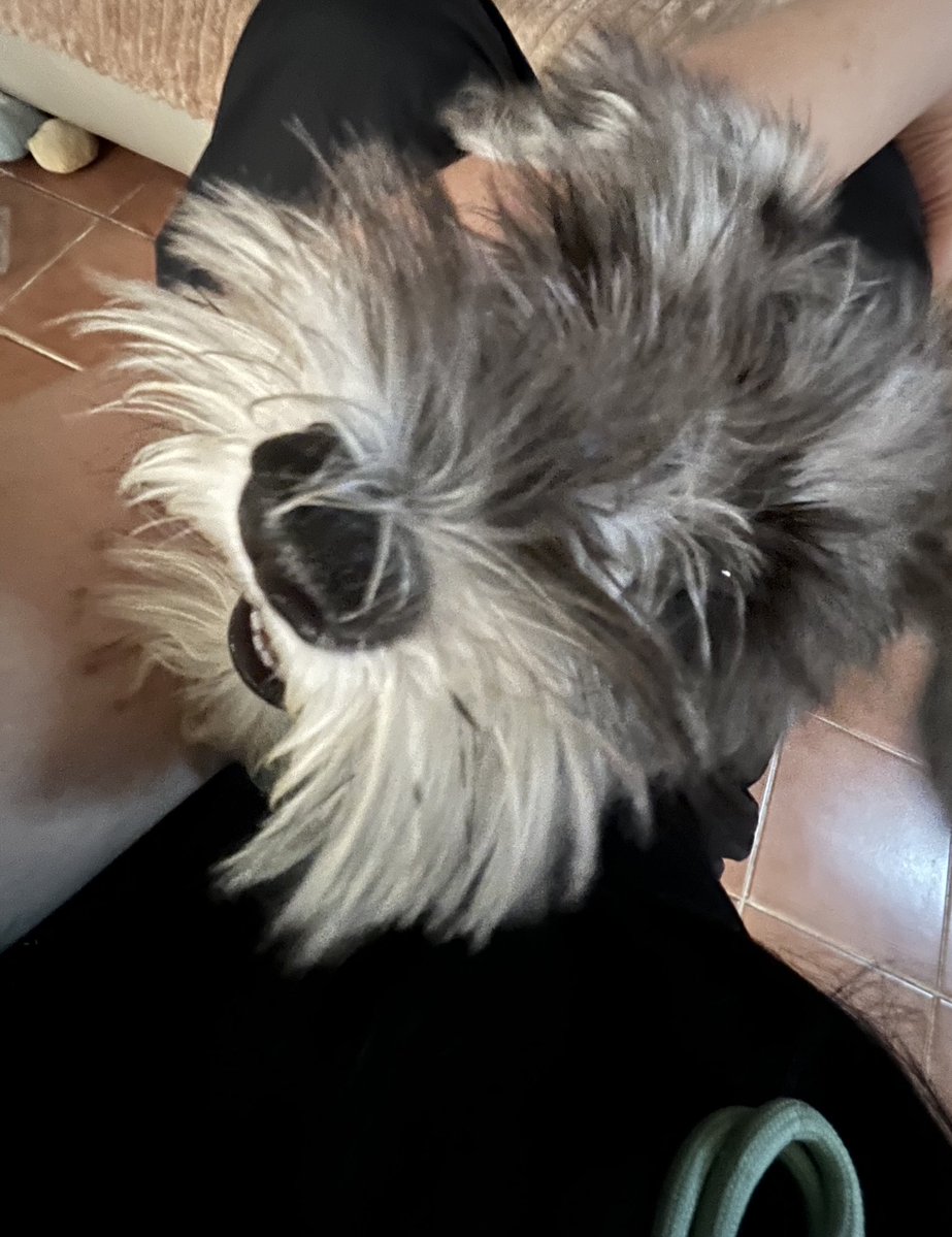 Kate Me and My mind tweet media