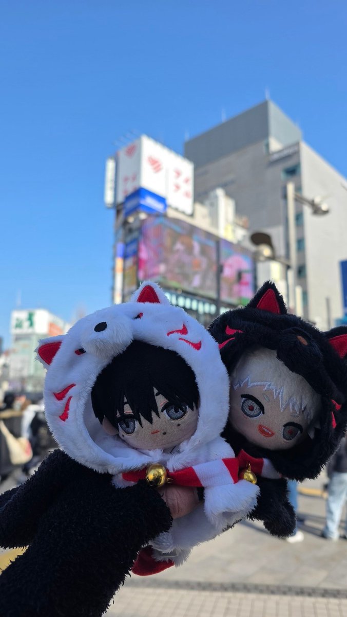 ソフィー tweet media