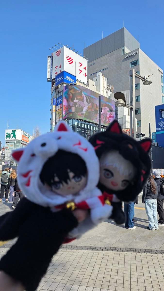 ソフィー tweet media