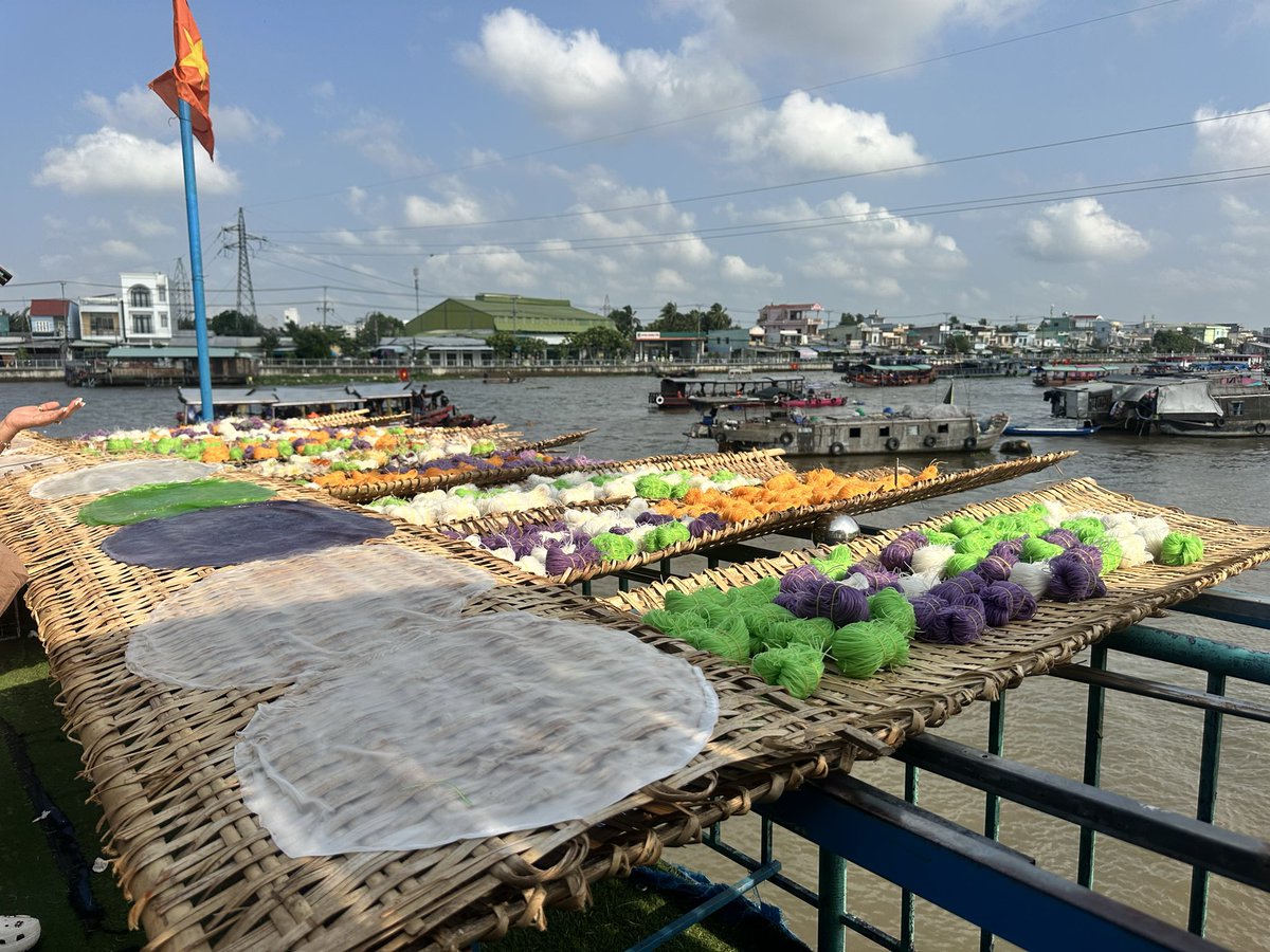 jaclyn wilson tweet media