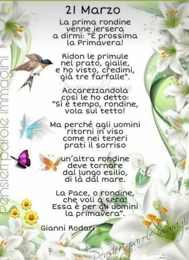 :Cinzia Paola tweet media