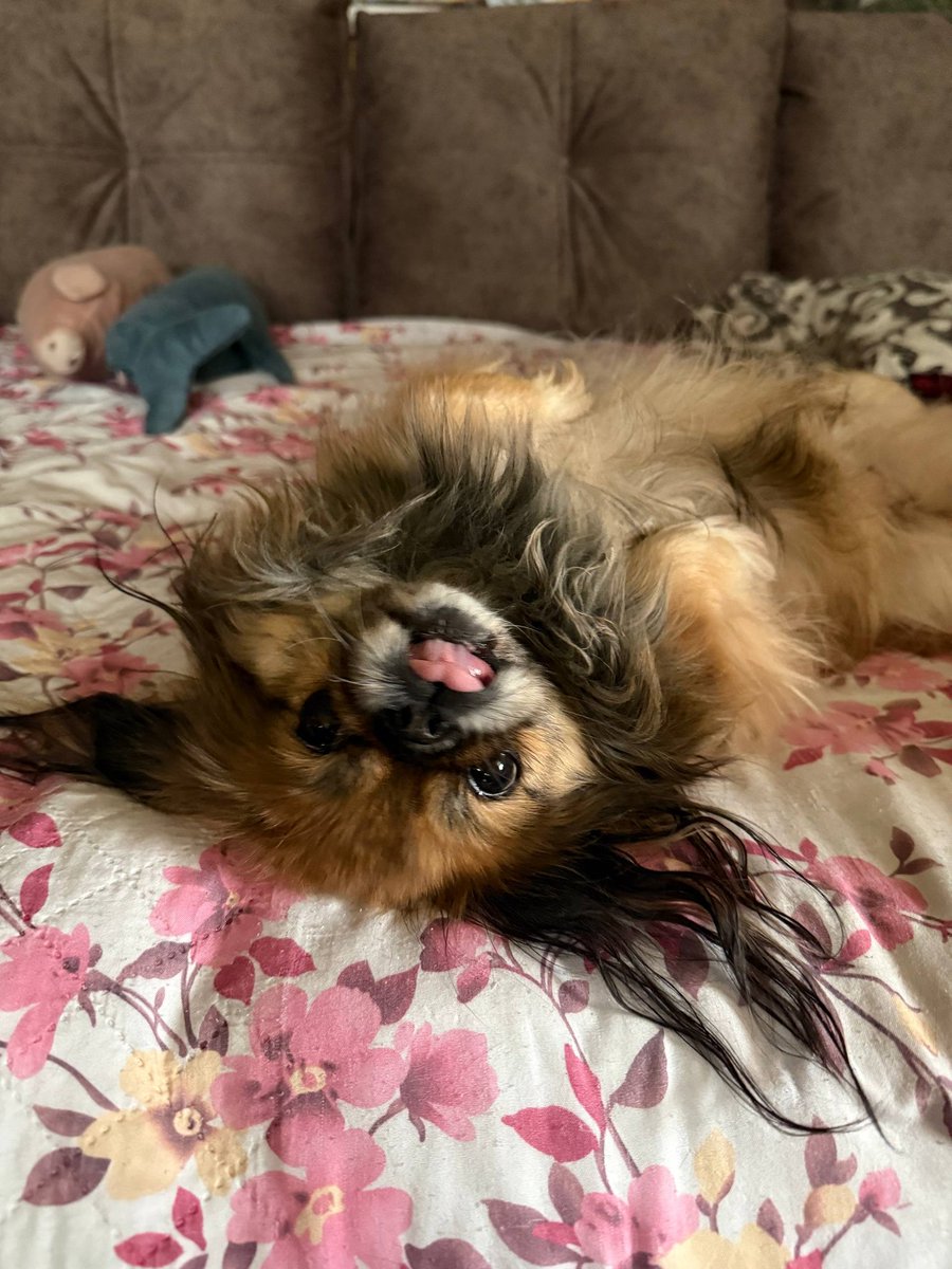 🎀🌷Кофейное Зёрнышко🌷🎁🌸 tweet media