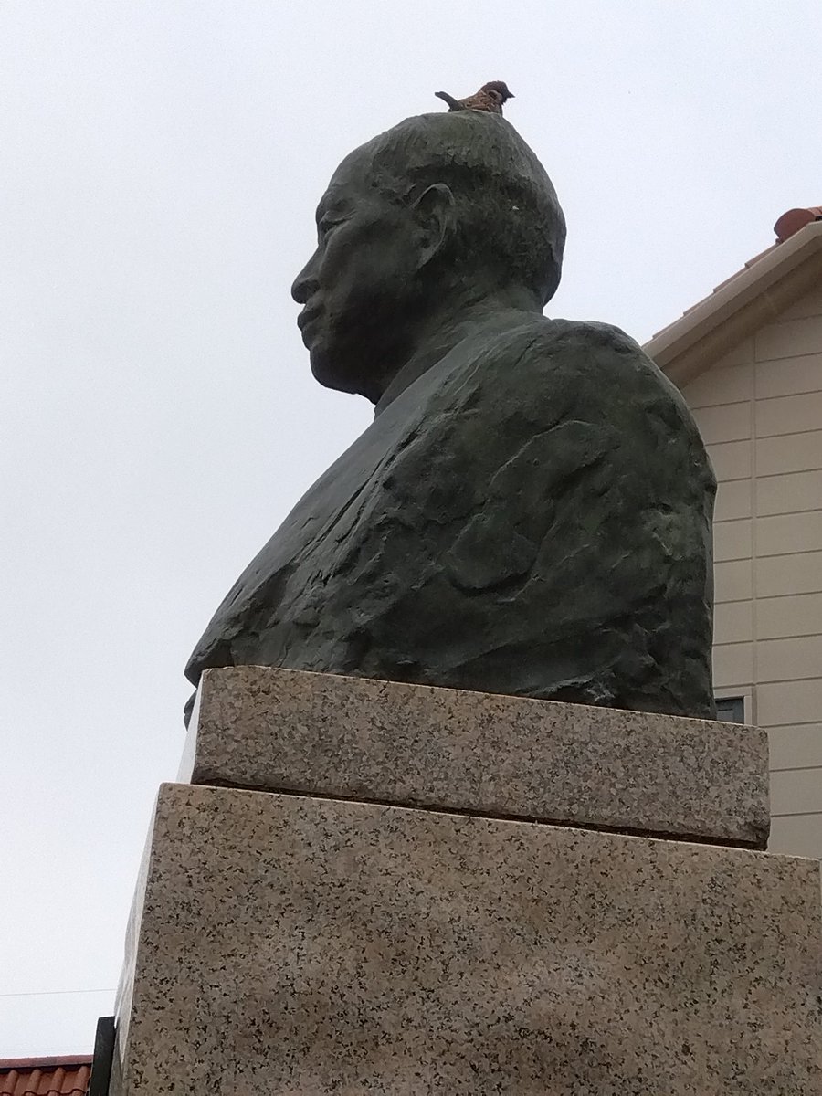 馬場卓也＠ルプフィ作家🐶 tweet media