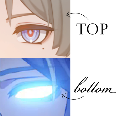 cutieterrarium tweet media