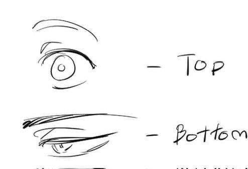 xuchwex's tweet image. #yes