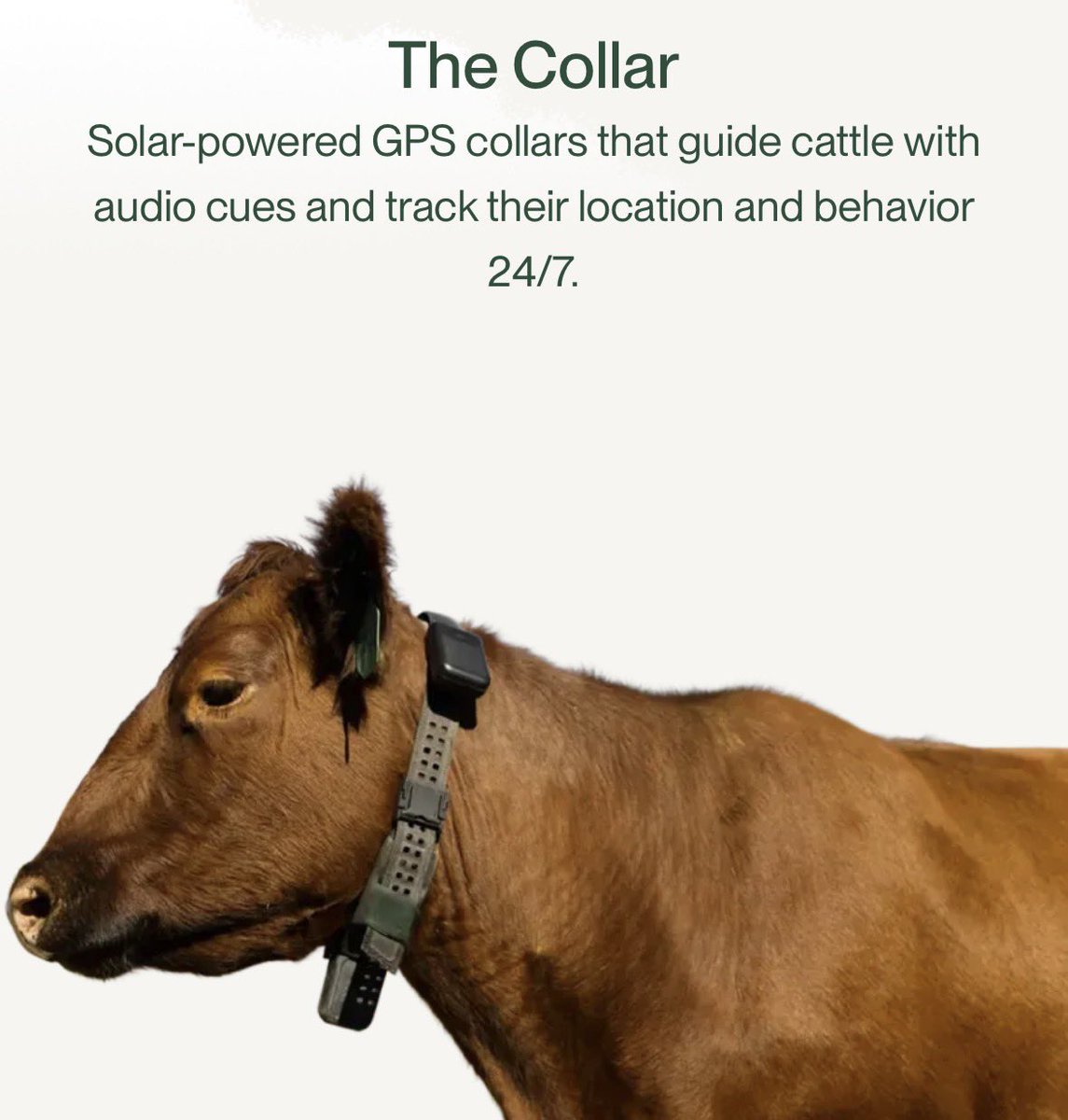 Serenity tweet media