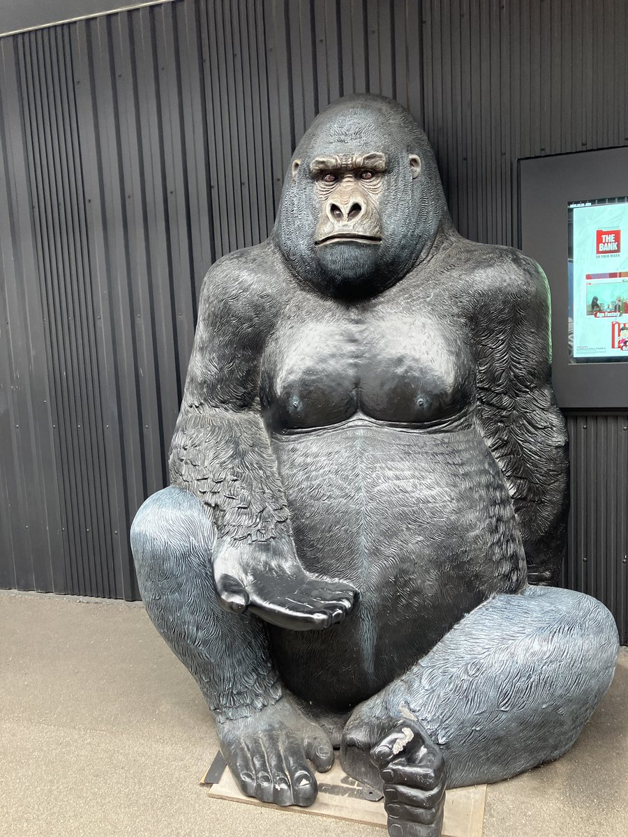 Thor/とーる◂Ⓘ▸ 👵 tweet media