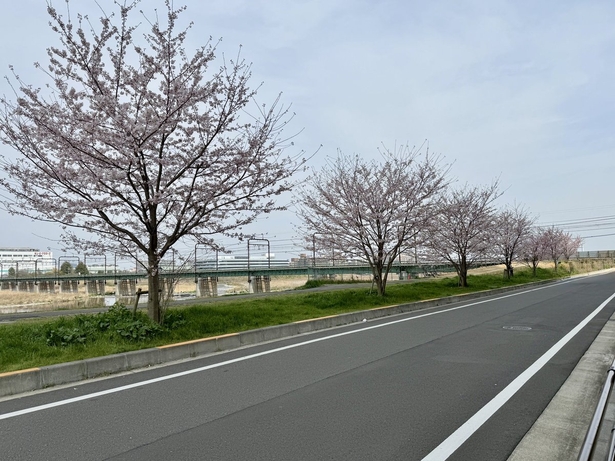 Takesen - 武仙＠空間系 tweet media