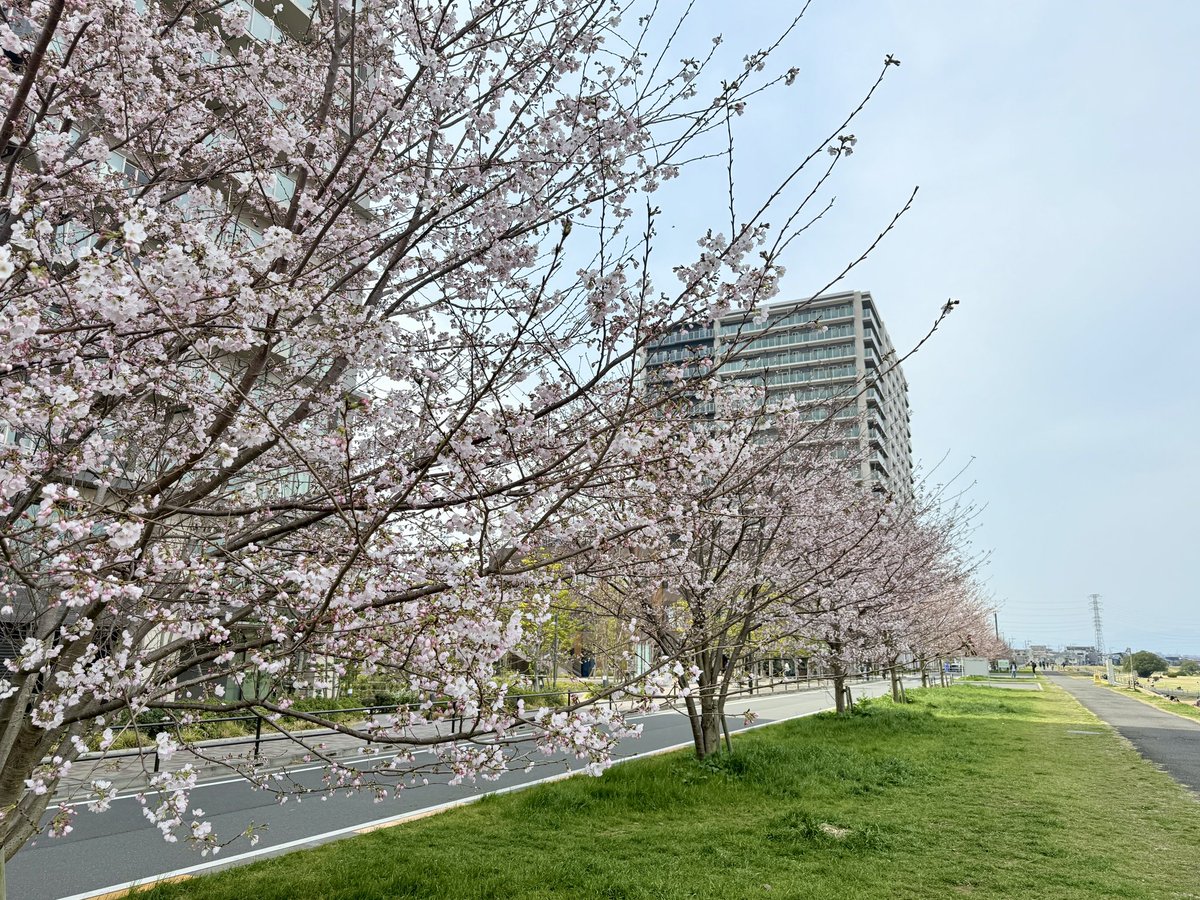 Takesen - 武仙＠空間系 tweet media