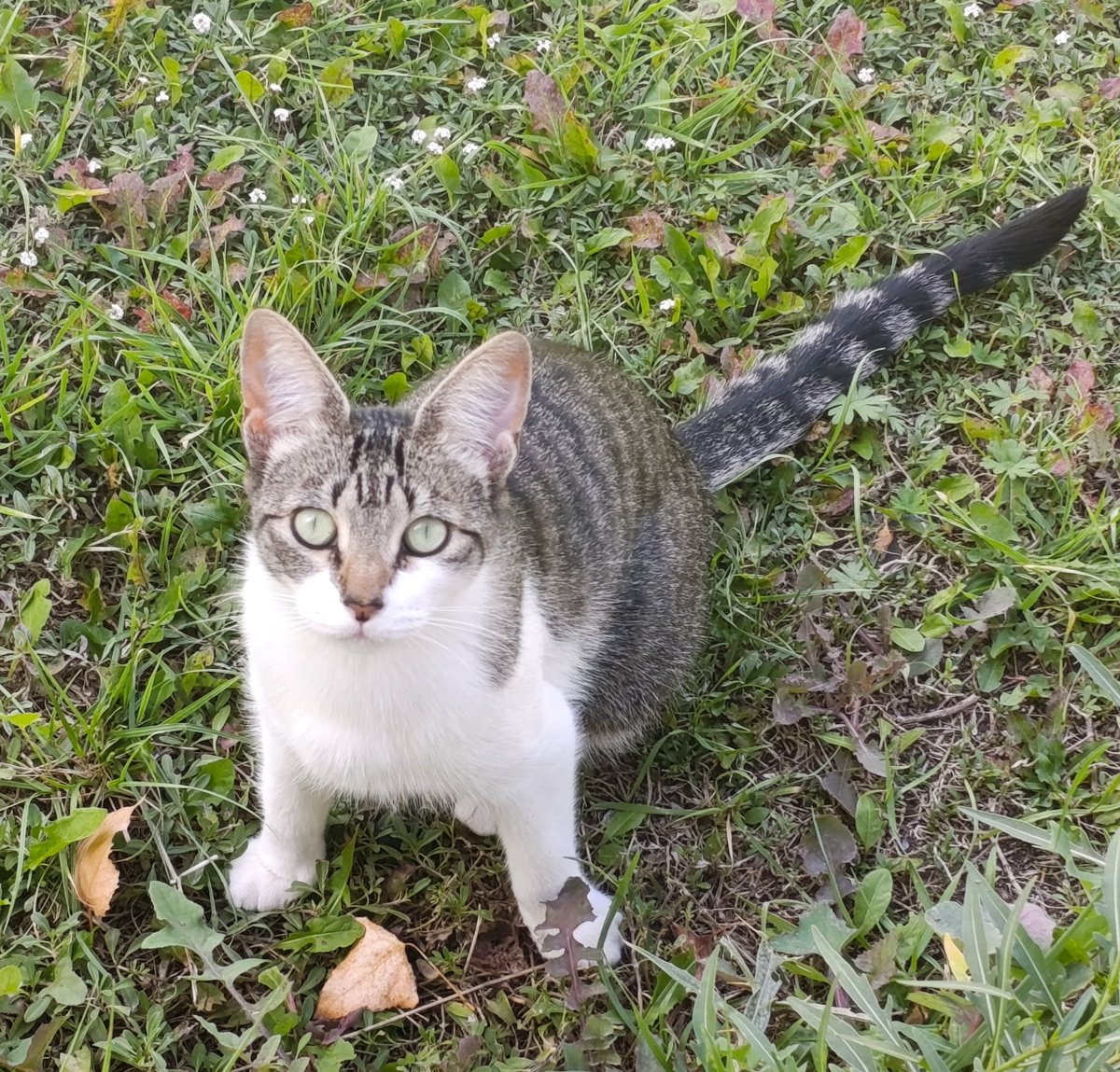 NECESITAMOS AYUDA PARA SEGUIR... LES DEJO EL LINK DE NUESTRA CAMPAÑA DE RECAUDACIÓN, YA NO SÉ QUE DECIR, NO SE NADA, NI COMO SEGUIR... DESDE YA GRACIAS POR AYUDARNOS❤️🥺
gogetfunding.com/rescate-sus-vi…