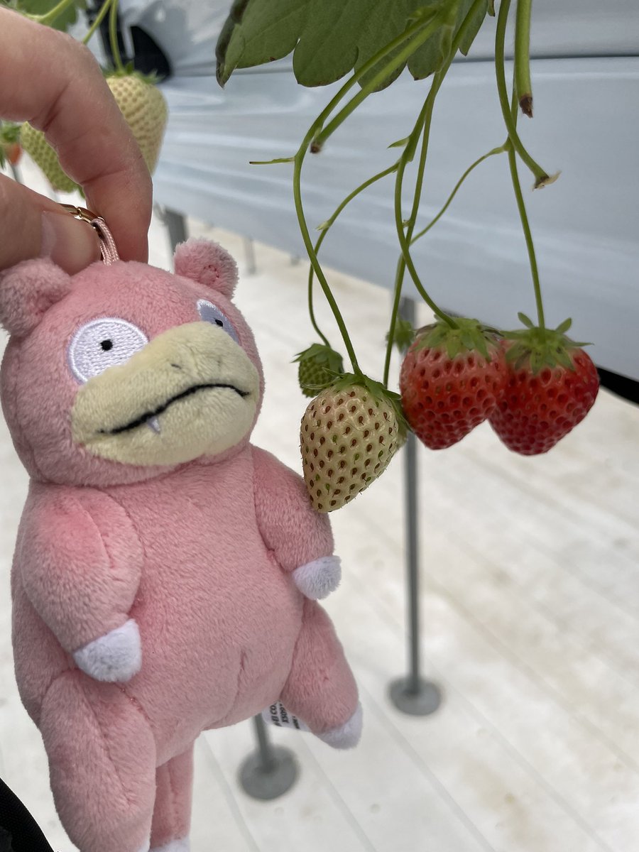 ゆまま tweet media