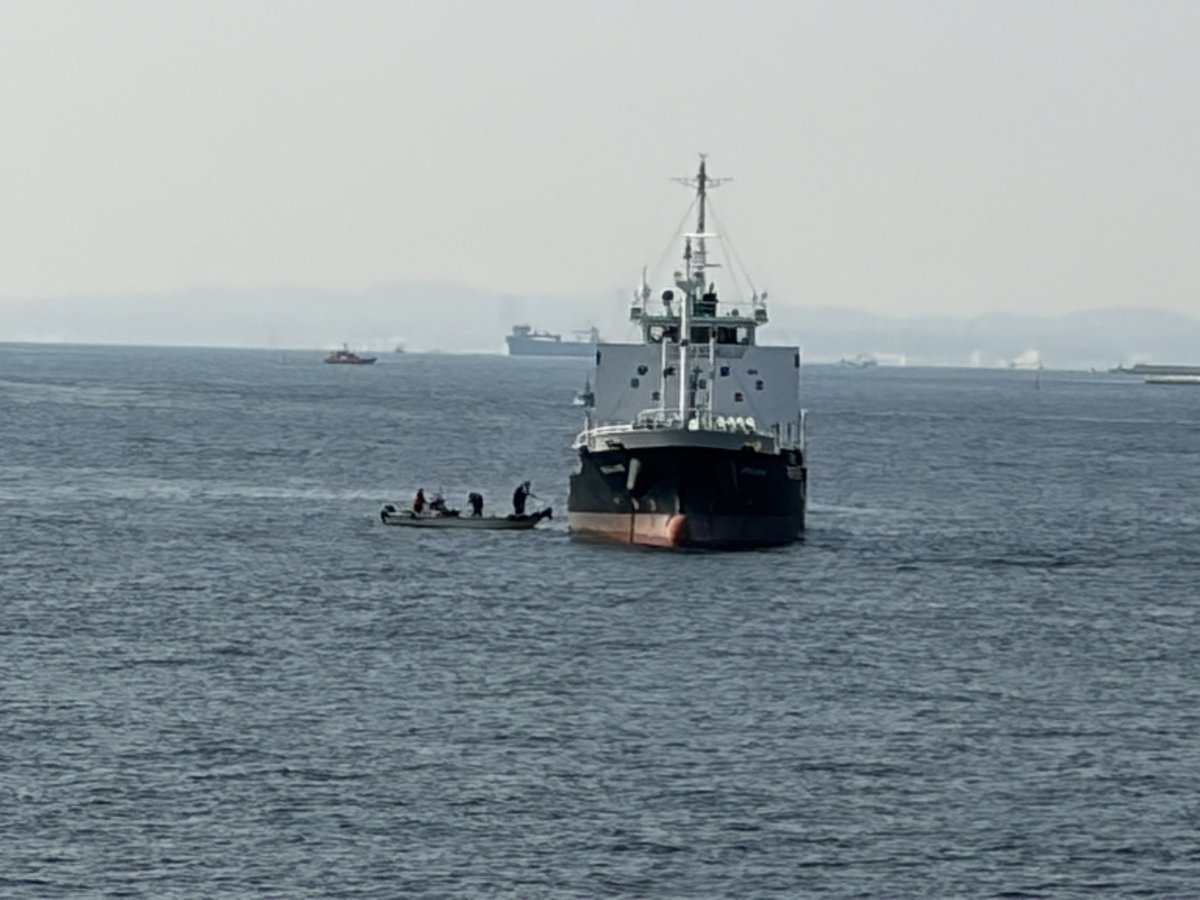 WATCH-annel【わっちゃんねる】 tweet media