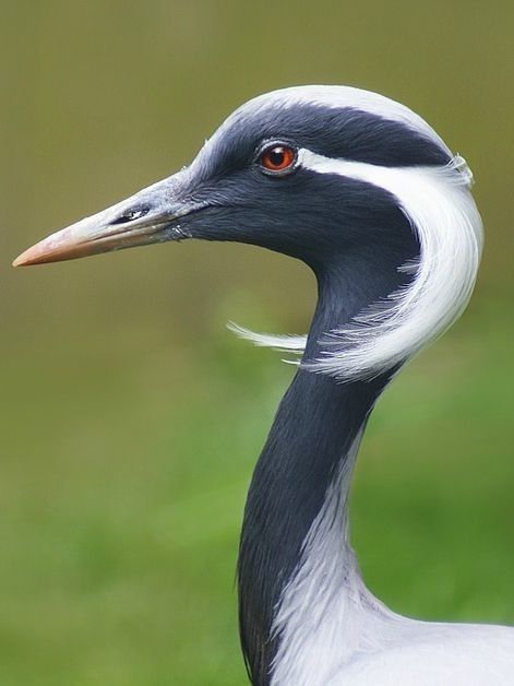 Phillipe 🩸 Alexia and Pomba's Dad tweet media