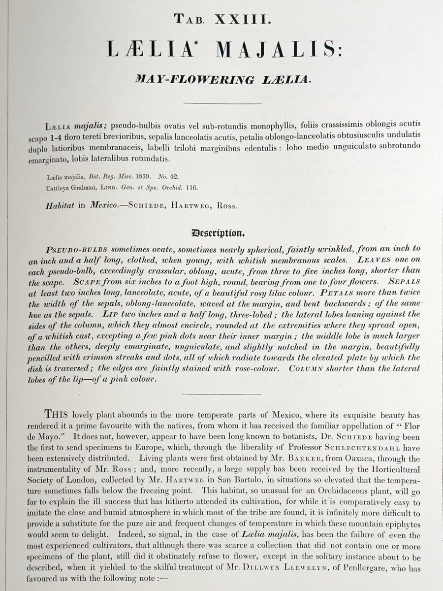 restaurika tweet media