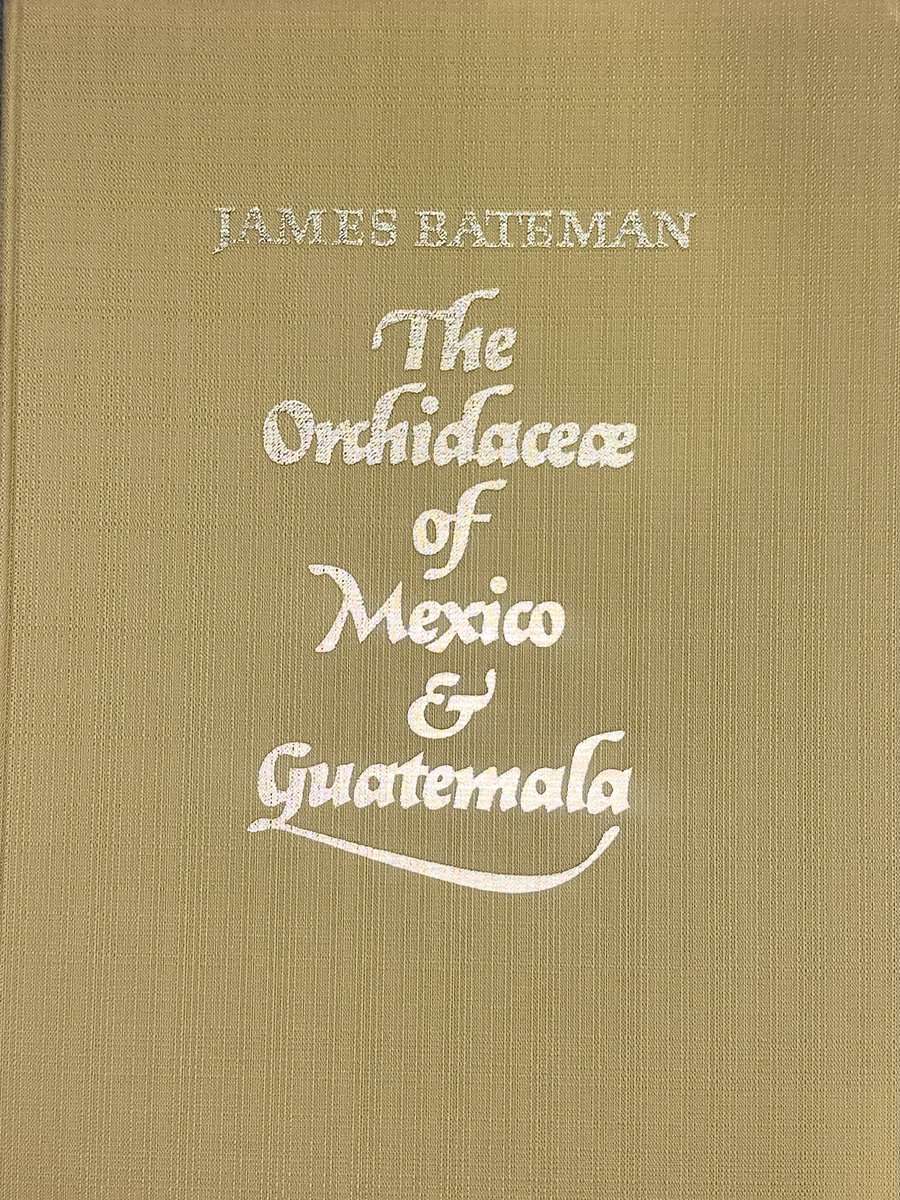 restaurika tweet media