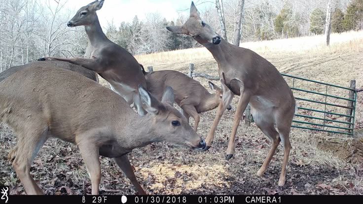 .. +█—_.09276—055387 —&&091845 🔜 AC tweet media