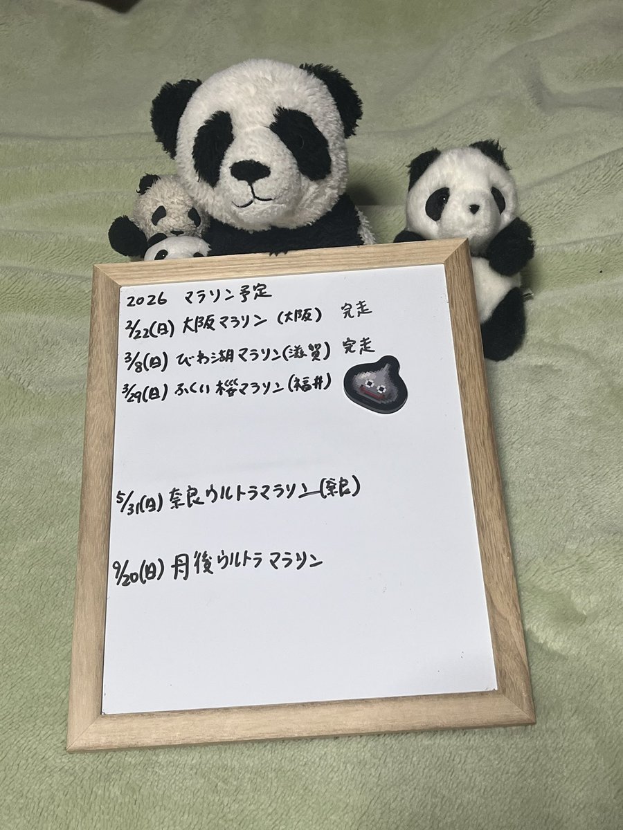 隼兎🐰🐼 tweet media