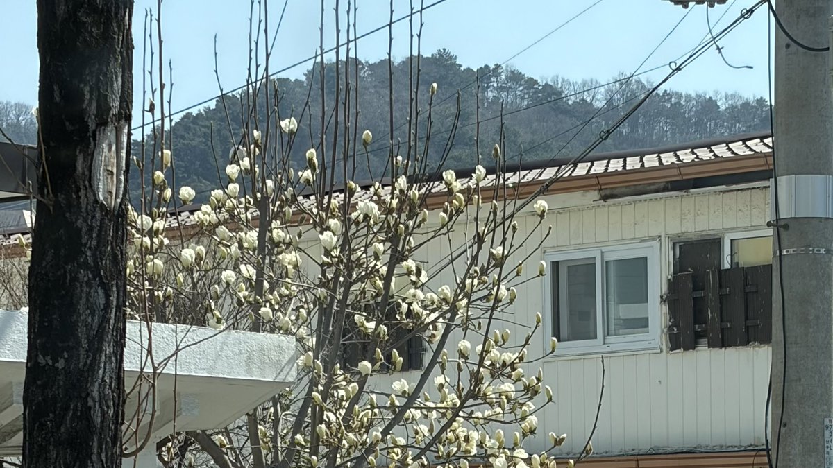 솜이 ̵ ̀ ̗♡ ̖ ́ ̵ tweet media