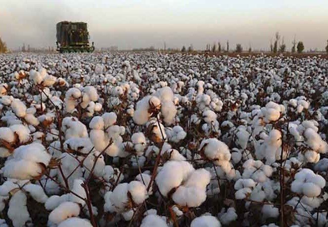 Abdurahim tweet media