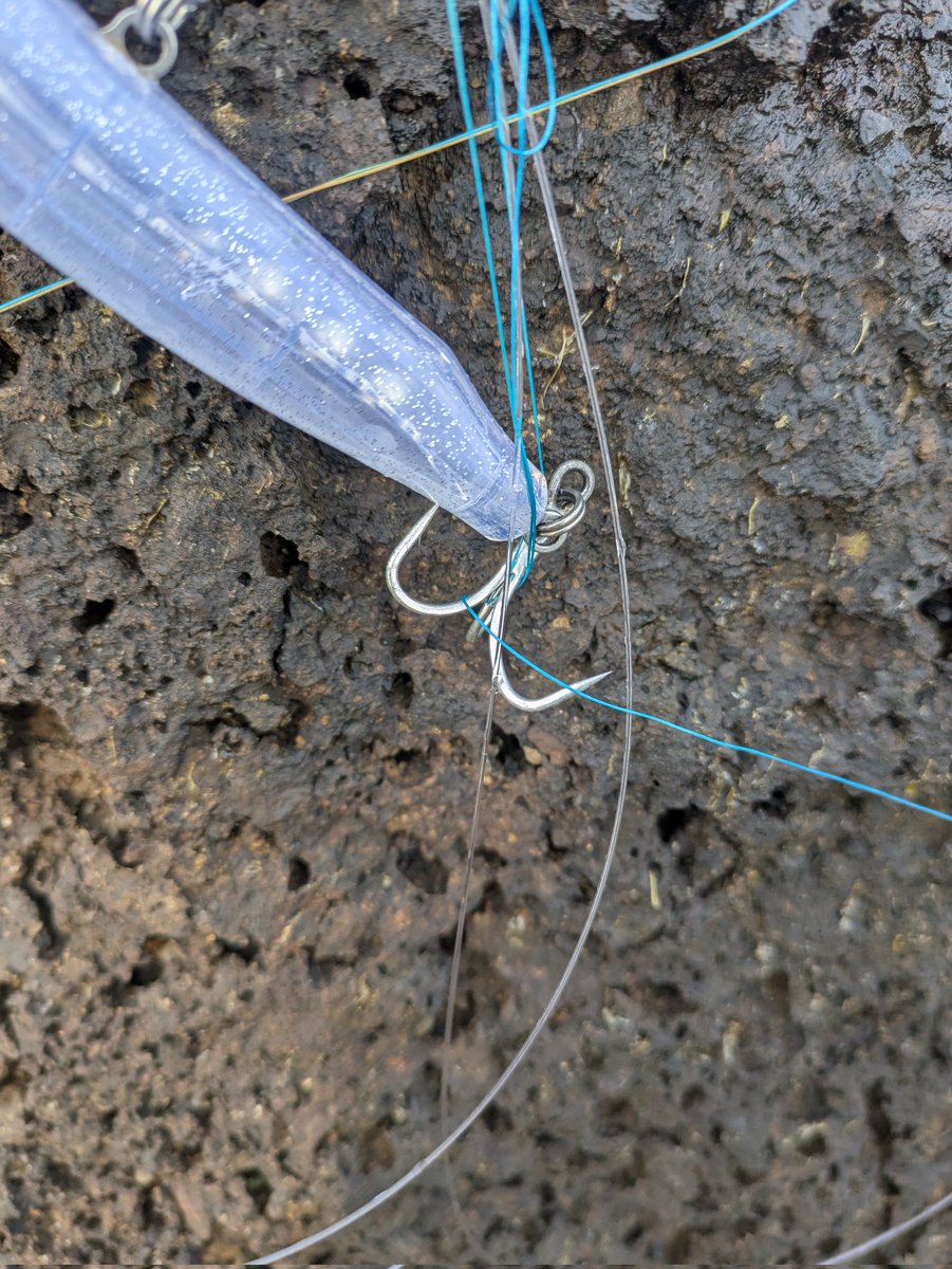 もりー tweet media