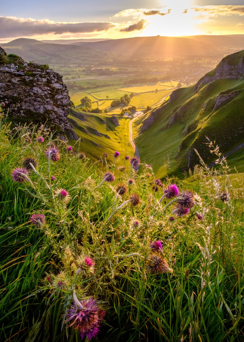 purenature_1's tweet image. Golden sun over the valley 🌸🌼🌺 #Serenity
