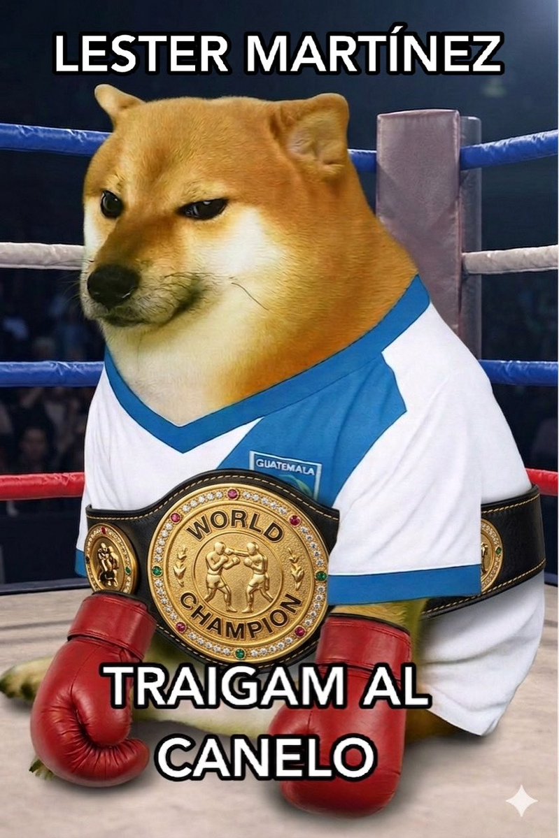 Geo D'Incau tweet media