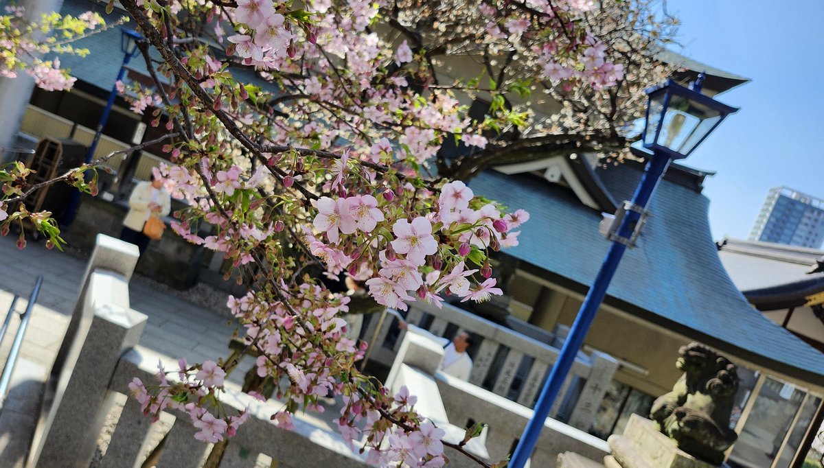 月読🍀 tweet media
