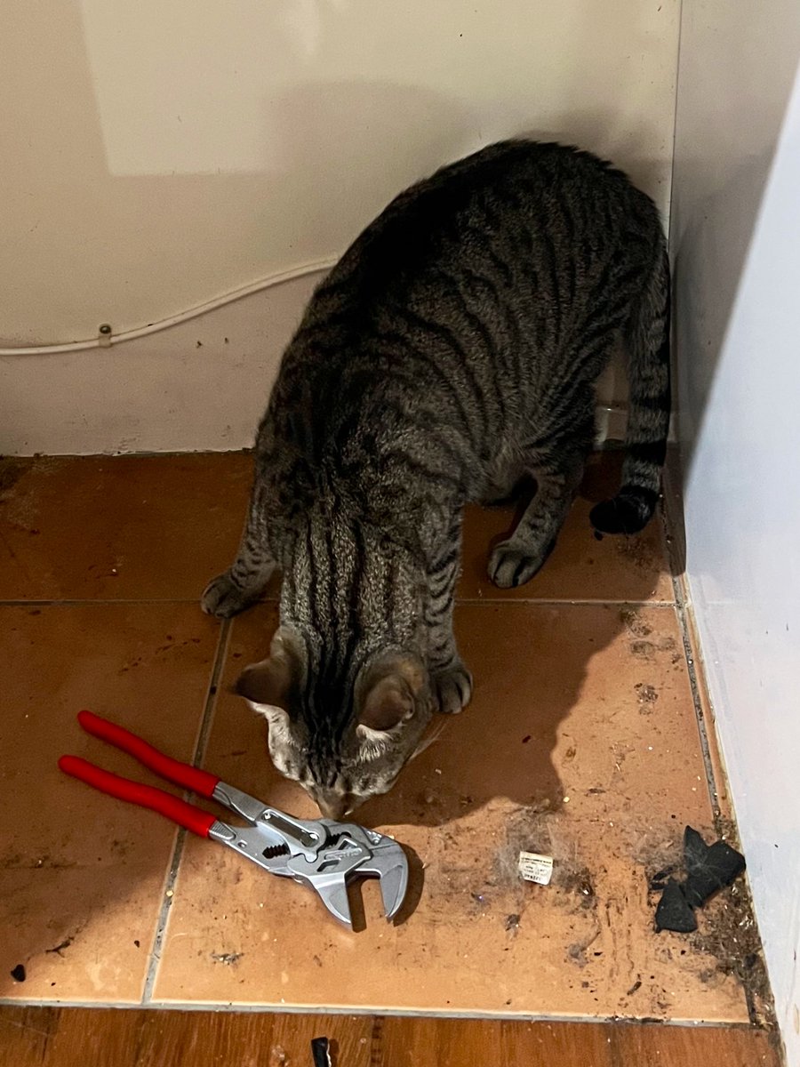 Dave Krantz tweet media