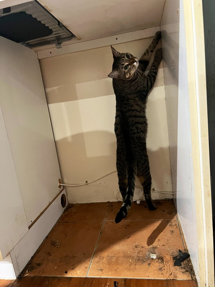 Dave Krantz tweet media