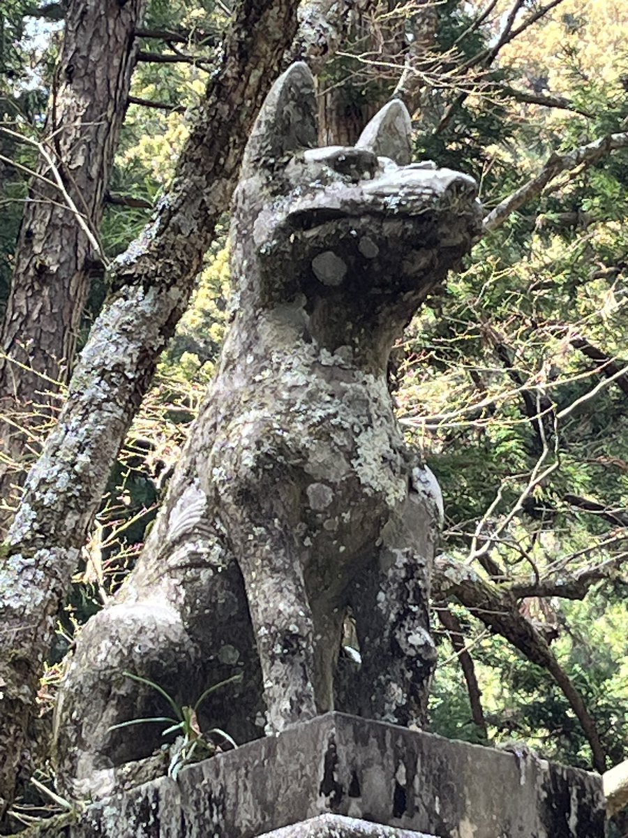 革ケモのおじ狼　Kawasaki　VersysX-250 tweet media