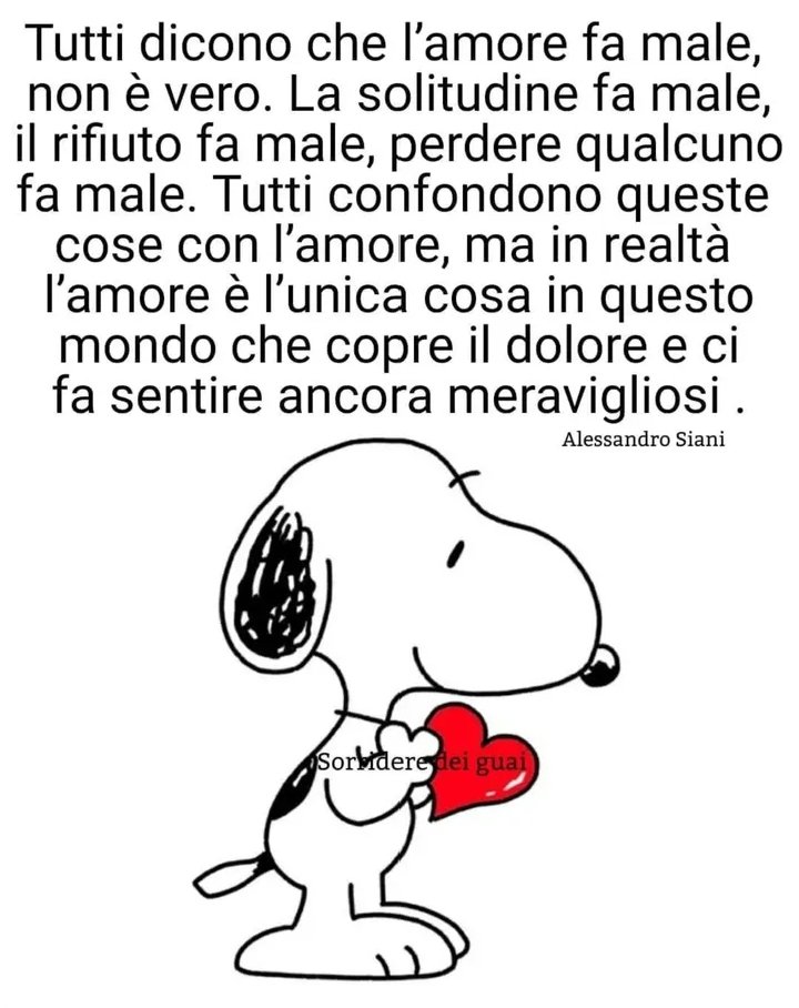 :Cinzia Paola tweet media